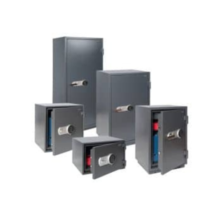 Documentensafe Salvus Torino