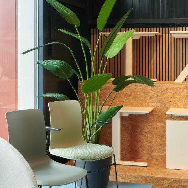 Strelitzia kunstplant - Afbeelding 3