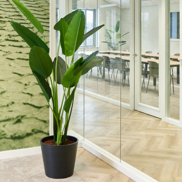 Strelitzia kunstplant