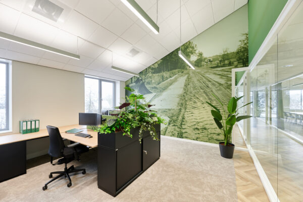 Strelitzia kunstplant - Afbeelding 2