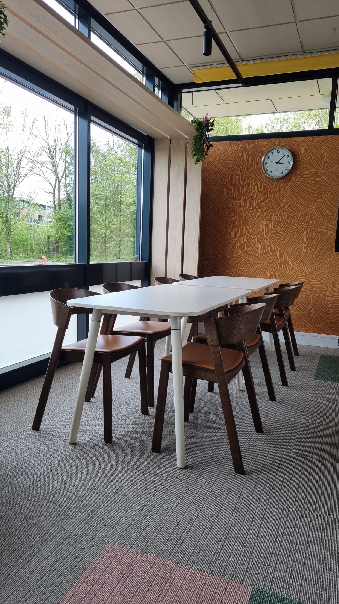 WhatsApp Image 2025-05-12 at 15.40.55